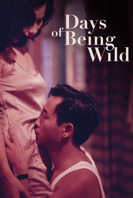 Days of Being Wild 阿飛正傳 poster