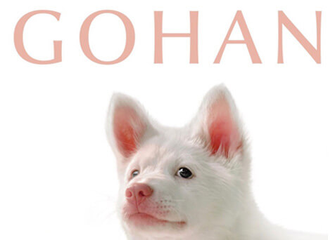 Gohan