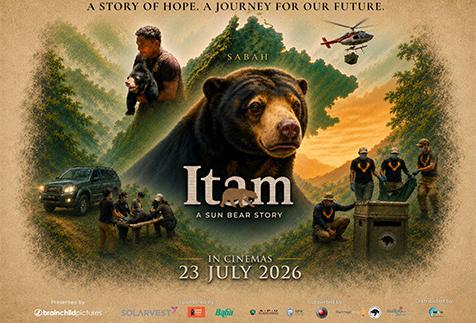 Itam: A Sun Bear Story