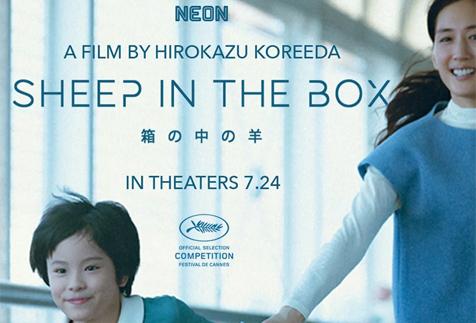 Sheep in the Box