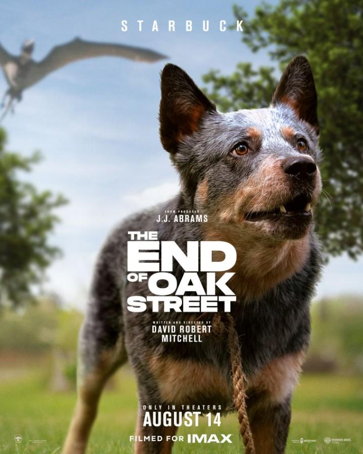 Starbuck The End of Oak Street Character Poster | The End of Oak Street | TGV Cinemas