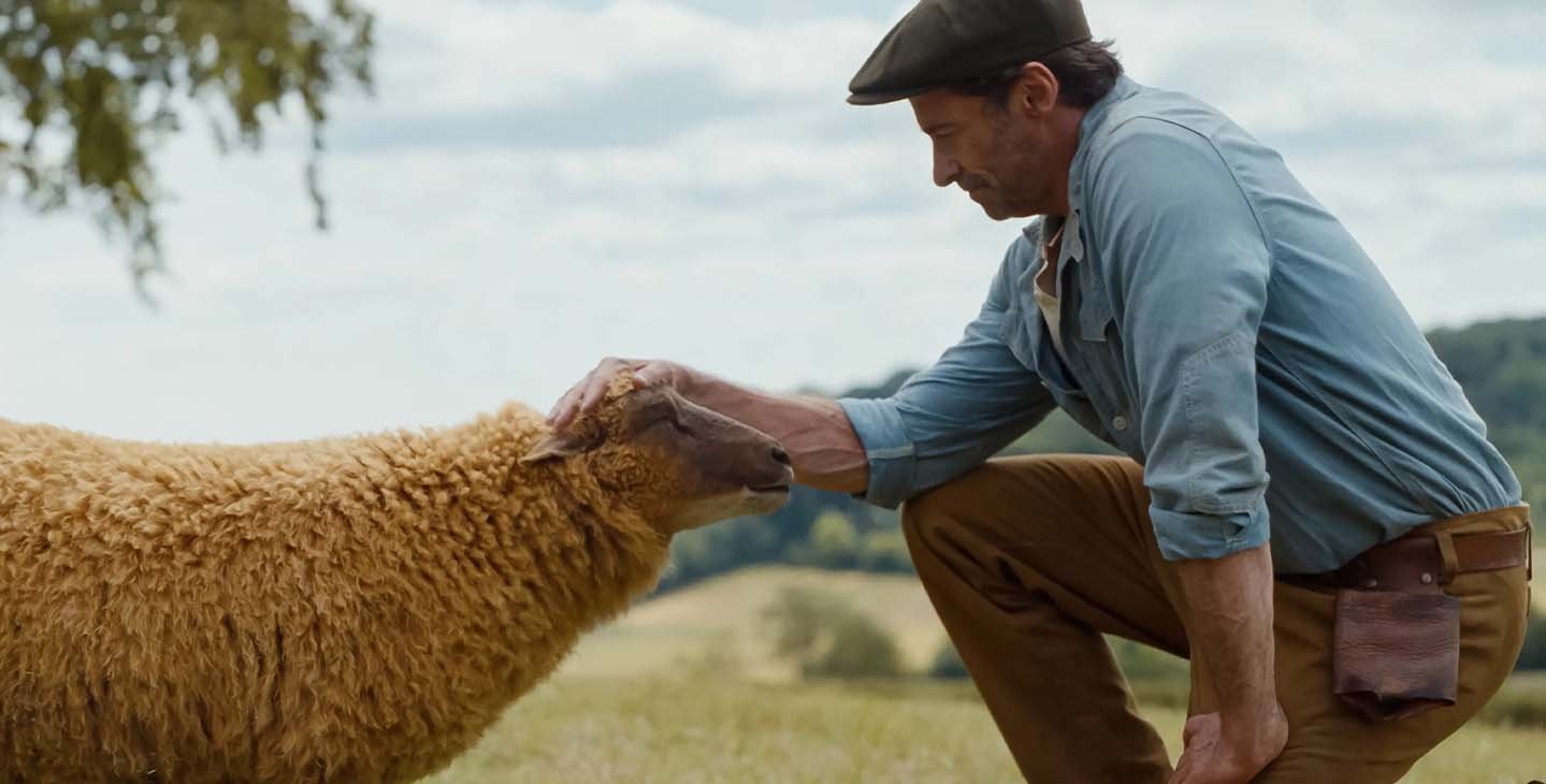 The Sheep Detectives